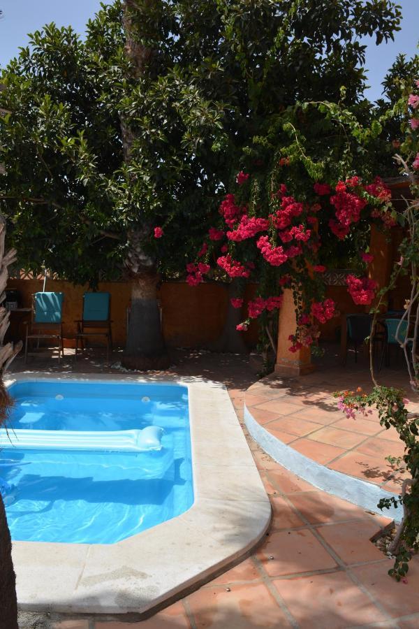 Apartamento Con Jacuzzi Y Terraza Con Opcion A Piscina Privada Almuñécar Zewnętrze zdjęcie